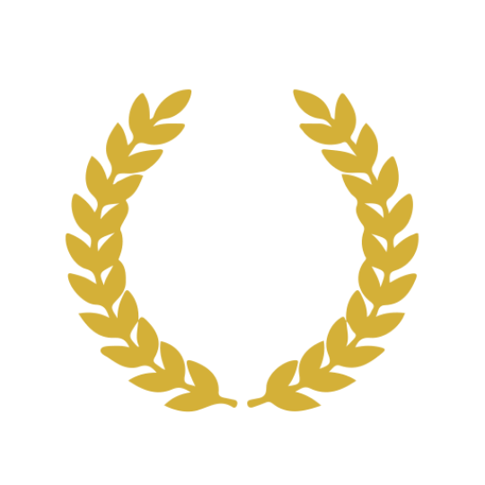 Michel Laporte Godorn - Vimentis Group AB